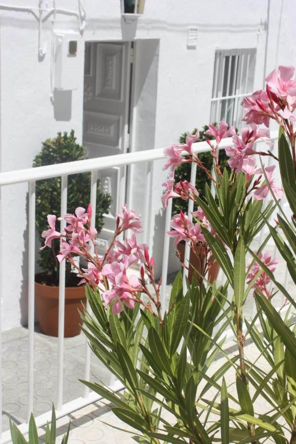 La Moradita Vejer de la Frontera Ngoại thất bức ảnh